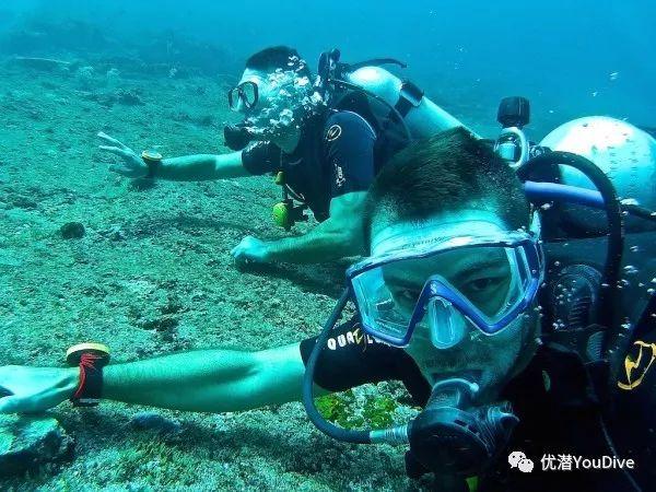 红树林逃生
